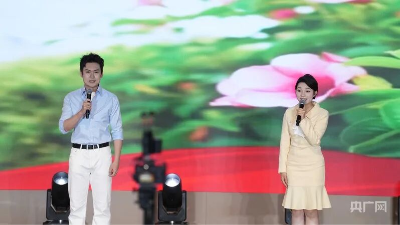 便于结合栏目动态与后续阅读